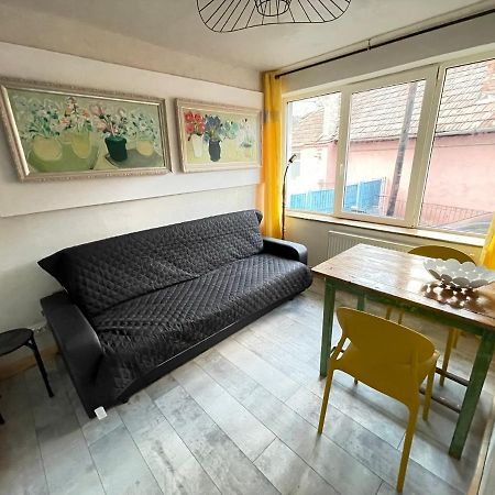 Art Apartments Govora Cluj المظهر الخارجي الصورة
