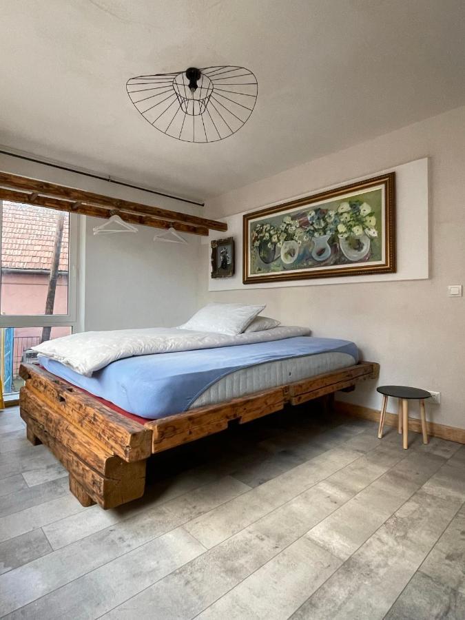 Art Apartments Govora Cluj المظهر الخارجي الصورة