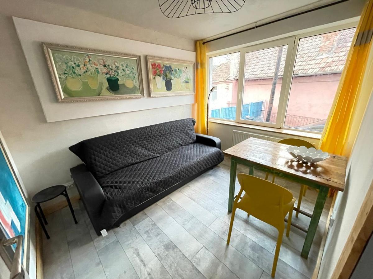 Art Apartments Govora Cluj المظهر الخارجي الصورة